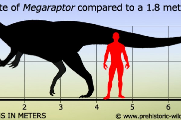 Кракен зайти рецензии игр