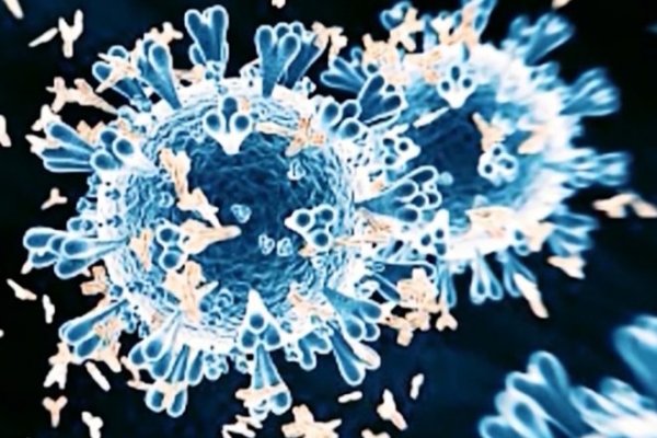 Ссылка на кракен тор обзоры игр