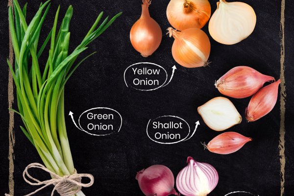 Заказать kraken стримы игр