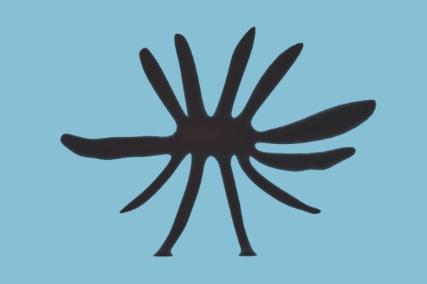 Krab8 cc игровые мониторы