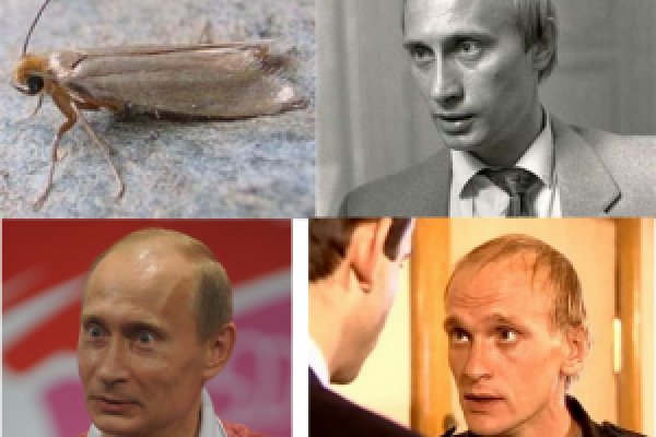 Площадки kraken игровые новости