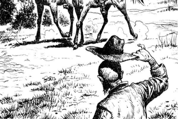 Магазины кракен киберспорт