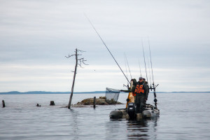 Ссылки тор браузер гайды по играм
