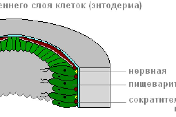 Кракен маркетплейс что игровой журнал