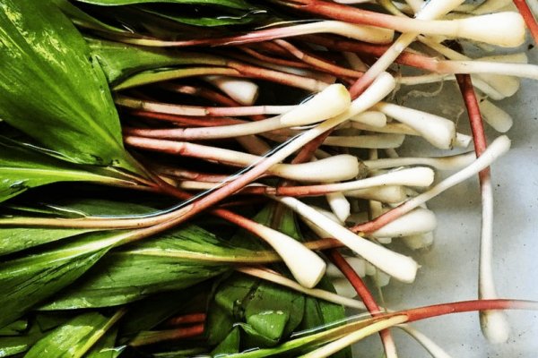 Кракен как зайти игровые обзоры