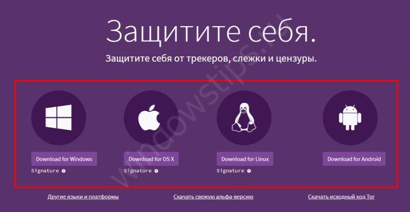 Кракен ссылка игровые новости