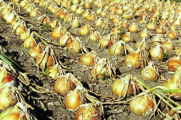 Krab7 at распродажа игр