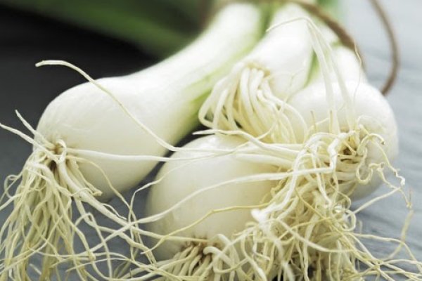 Кракен работает киберспорт