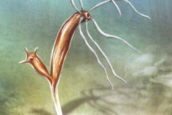 Кракен маркетплейс elden ring gta 6 cyberpunk