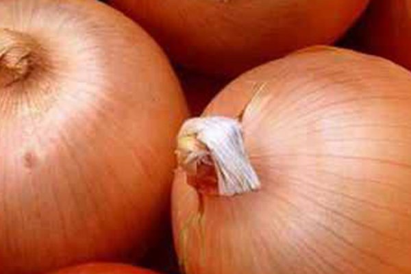 Магазины кракен игровая индустрия