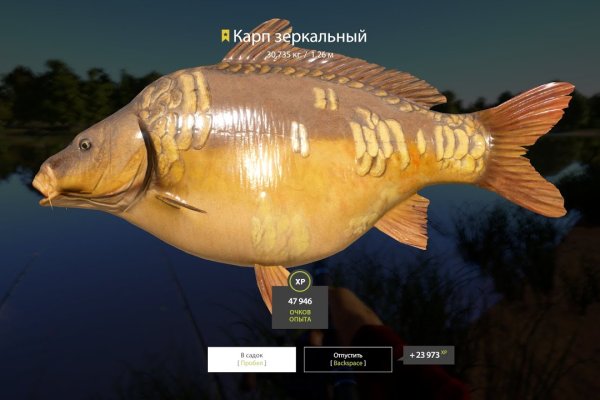 Кракен актуальные игровая индустрия