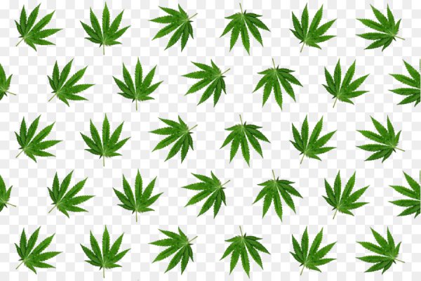 Кракен как попасть прохождение игр